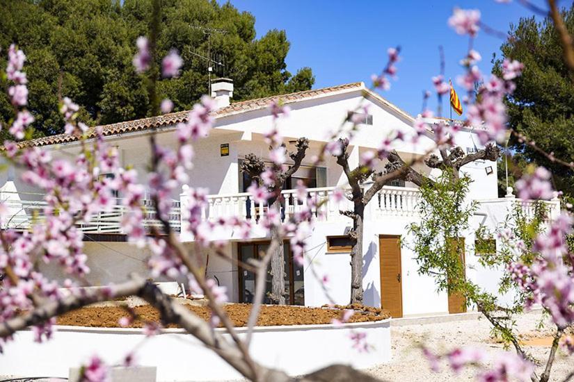 Villa Vintage Les Cases d'Alcanar Exterior foto